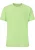 ENDURANCE Functioneel shirt  lichtgroen
