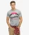Superdry Mannen Classic Great Outdoors Relaxed T-shirt Lichtgrijs