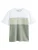 Next Shirt  groen / wit