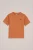 WE Fashion – Jongens T-shirt – Regular fit – Terra Cotta – Katoen –