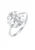 ELLI Ring  zilver