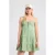 America Today Daisy White/green