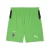 PUMA Sportbroek ‘Borussia Mönchengladbach 25/26’  groen / zwart / wit