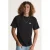 Vans regular fit T-shirt – zwart