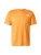 THE NORTH FACE Functioneel shirt ‘PENTADOME’  oranje / wit