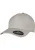 Flexfit Pet  zilver