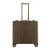 Aleon Trolley  bruin