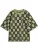 SOMETIME SOON Shirt  kiwi / zwart