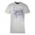 Cavalli Class Schaalontwerp Logo Grijze T-Shirt