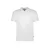 Cars polo wit
