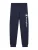 Champion Broek  navy / wit