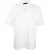 AllSaints Easton Ss Polo Chalk White