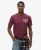 Superdry Mannen Athletic College T-shirt met Print Paars