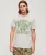 Athletic College T-shirt met Grafische Print Donkergrijs