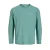 JACK & JONES JUNIOR longsleeve mintgroen