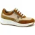 Solidus 46022