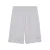 Korte Puma 1 Logo 10″