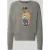 Polo Ralph Lauren Regular fit pullover met polo bear-motief