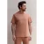 Kultivate regular T-shirt terra