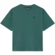 Lyle and Scott T-shirt tsb2305v