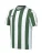 NIKE Functioneel shirt ‘Division V’  jade groen / wit