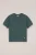 WE Fashion – Jongens trui met structuur – Regular fit – Groenblauw – Katoen –