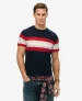 Superdry Mannen Essentials T-shirt met Strepen Blauw