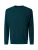 PIERRE CARDIN Trui  smaragd