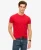 Superdry Mannen Essential T-shirt van Biologisch Katoen met Logo Rood