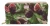 Dolce & Gabbana Women Coin purse