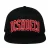 Snapback pet DC Shoes University