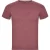 Roly Heren vos t-shirt