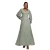 Ballonmouwen Chiffon Jurk Dames Goddiva