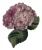 Dolce & Gabbana Paarse Bloemen Gouden Tinten Messing DamesBroche
