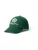 Polo Ralph Lauren Pet  groen / wit