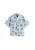 VANS Overhemd ‘Van Doren’  smoky blue / mintgroen