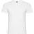 Roly Heren Samoyedo V Hals T-shirt (Wit)
