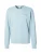 Champion Authentic Athletic Apparel Sweatshirt  pastelblauw