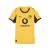 PUMA Tricot ‘Borussia Dortmund 25/26’  geel / zwart