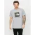 The North Face Heren Reglan Sleeve NSE T Shirt Grijs