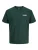 JACK & JONES Shirt  spar / wit