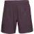 The Indian Maharadja 2 in 1 short tennis short heren –