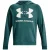 Under Armour Heren rival fleece hoodie