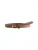 Next Riem  bruin