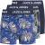Jack & Jones Hendo Leaves Trunks Boxershorts Jongens (3-pack) –