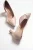 Vera Spitse Pump (Dames)