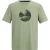 Regatta Heren Fingal Mountain T-Shirt (Lichte Salie)
