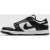 Nike Dunk Low Retro Men’s Shoes