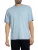 Dickies Plentywood T-Shirt, Blauw