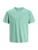 Jack & Jones Junior Shirt ‘JJEORGANIC’  turquoise